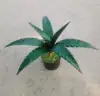 Green 8