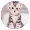 chat