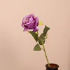 สีม่วง