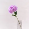 Une seule branche de violette