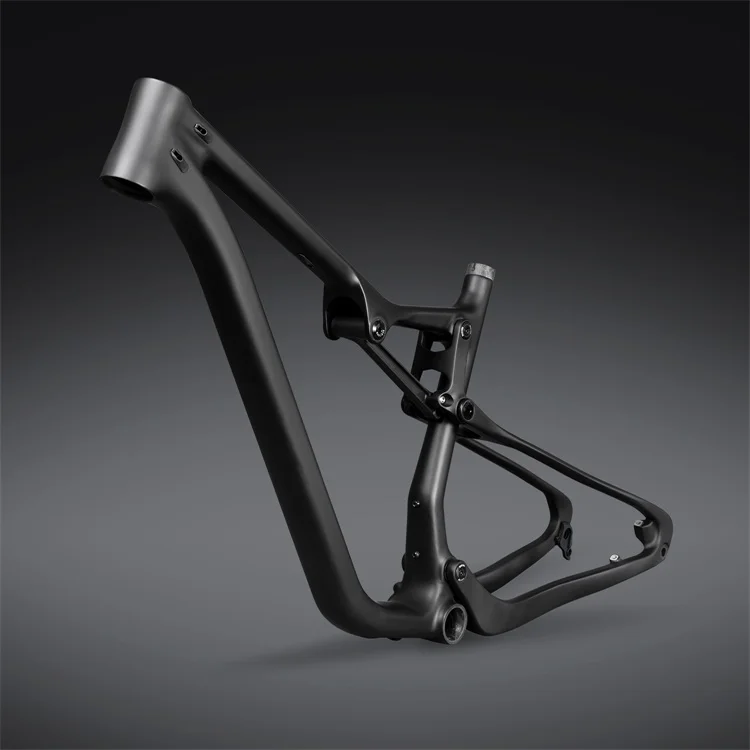 frame carbon rb