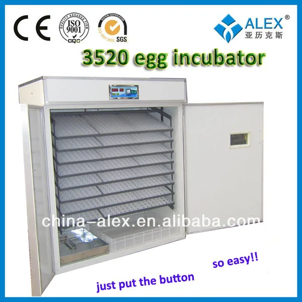 Cheapest Hatching Peacock Eggs Incubator Chicken Eggs for Sale Hot AI-3520