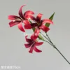 Lirio Dorado Rojo