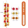 One meter maple vine F