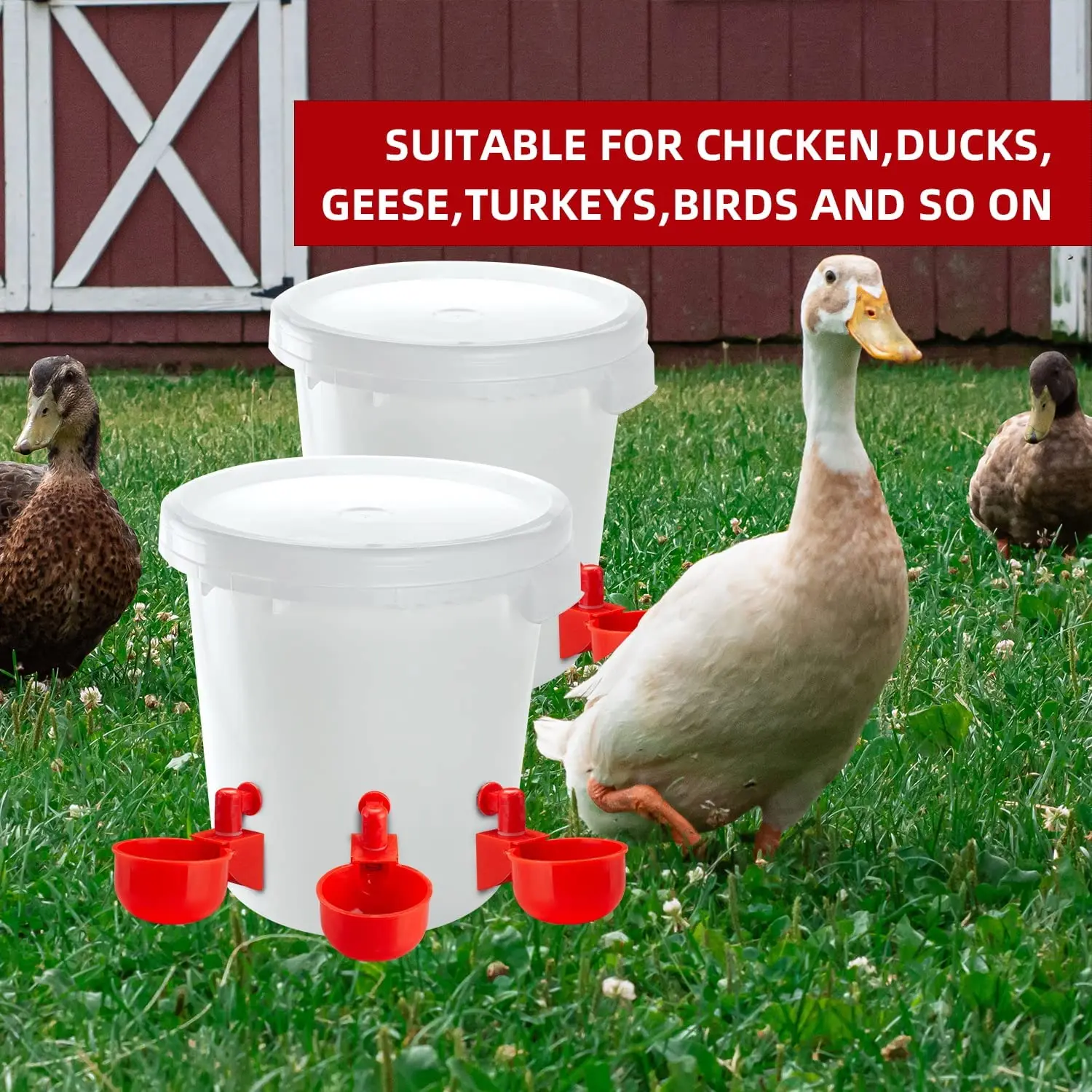 Plastic Red Chicken Drinking Cup Automatic Chicken Drinker Water Bowl Chicken Feeders and Drinkers