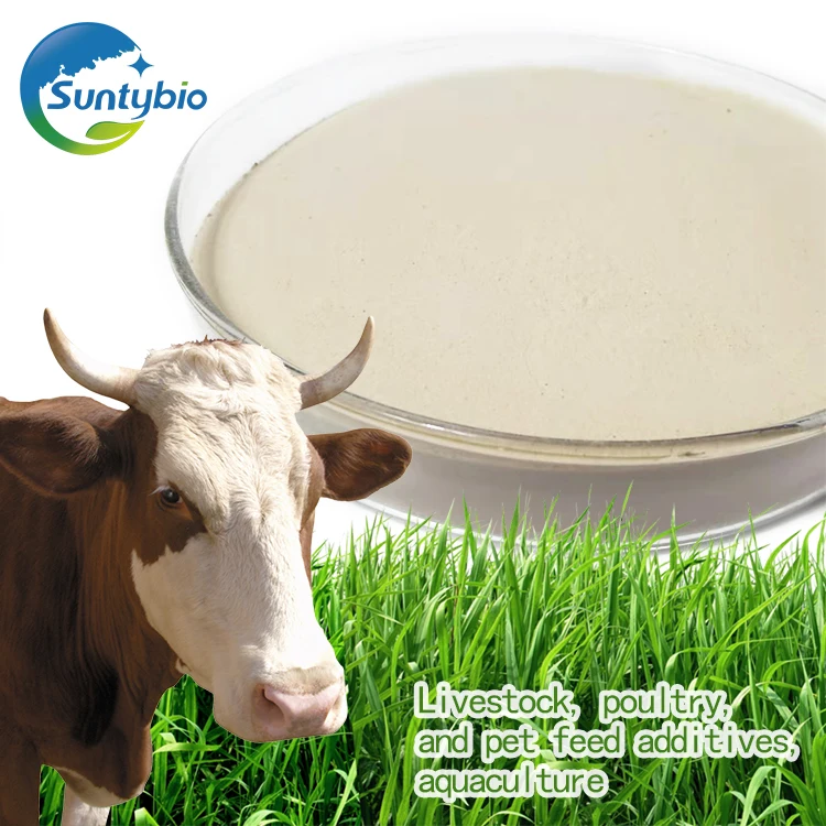 Animal Feed Grade Probiotics Enterococcus Faecium Powder Additives in China