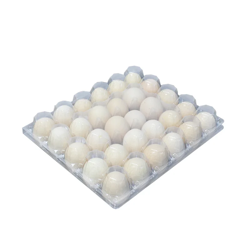 Oversized 30 Egg Plastic Tray for Jumbo Eggs