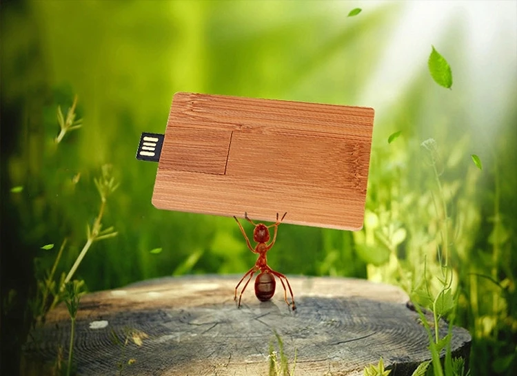 Wooden/bamboo pen drive 2021 Hot selling eco wood credit card bulk usb flash drive - ANKUX.COM
