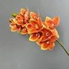 Naranja rojizo