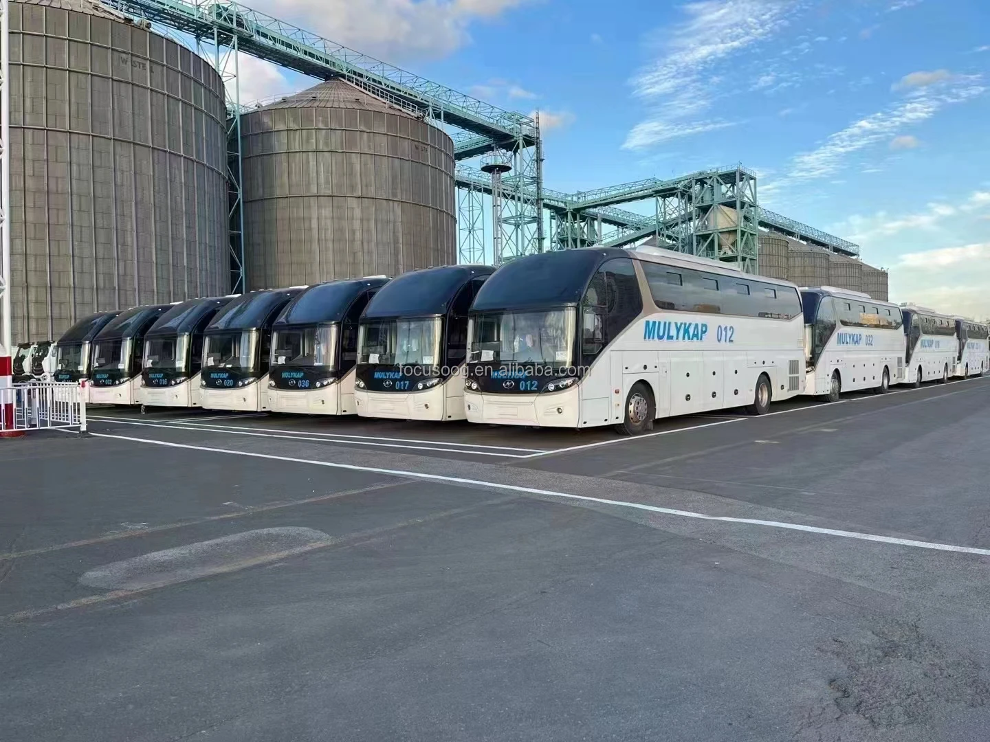 Roro/oog专用集装箱/整箱海运服务海运代理从中国到非洲的门到门 - Buy 低价oog /roro海运货代服务从中国到非洲,高速海运货运 ...