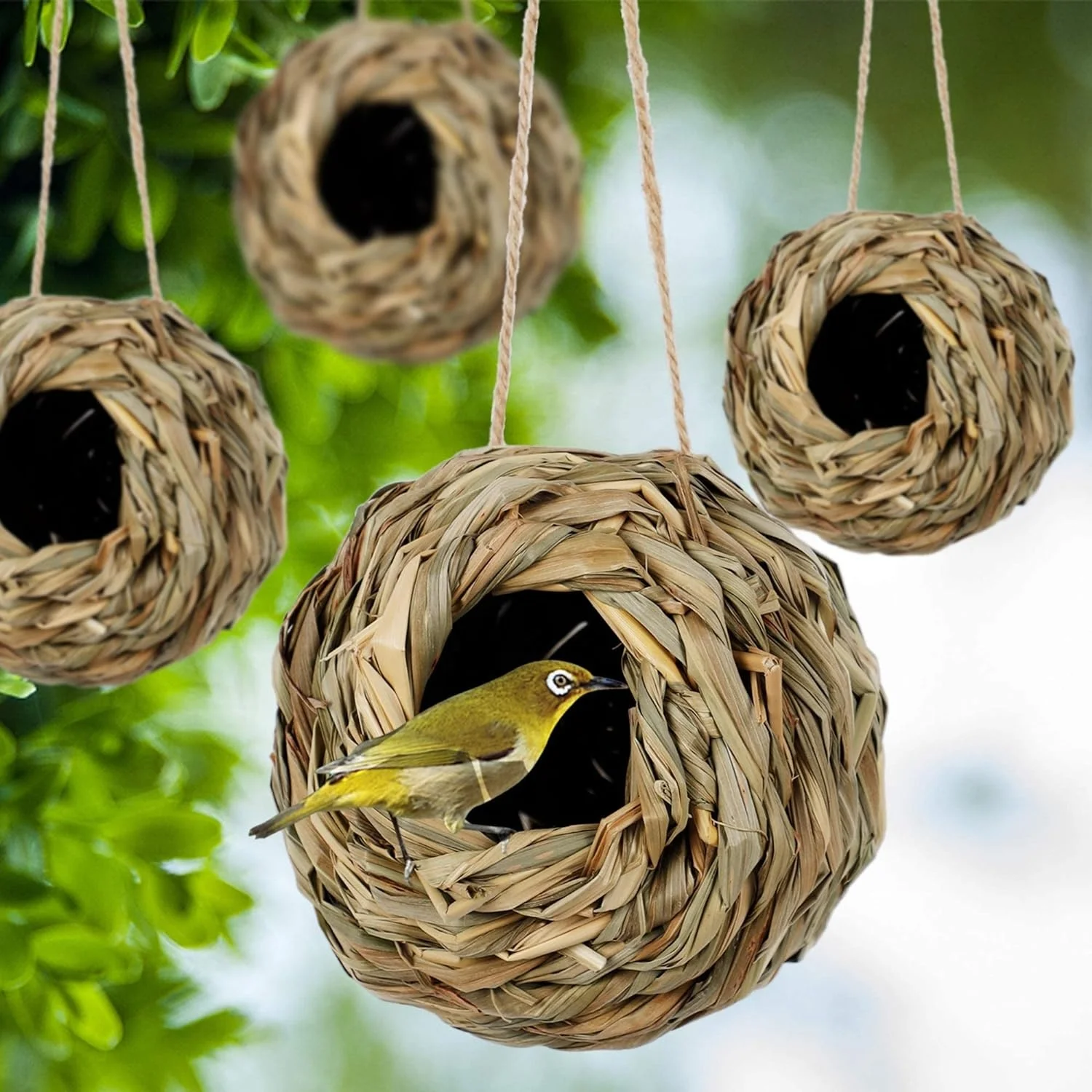 Hummingbird Nest House for Outside   4pcs Per Set