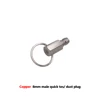 Dust plug