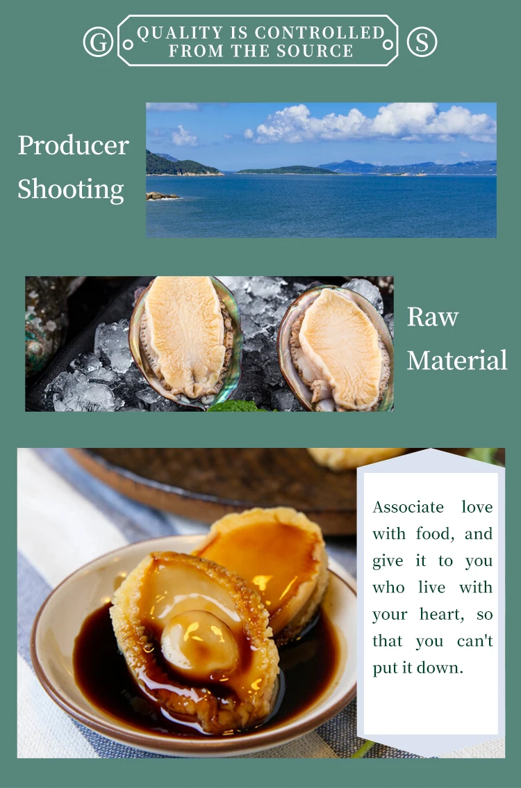 Pure Canned China Abalone Abalone Can Food Canned Abalone For Sale