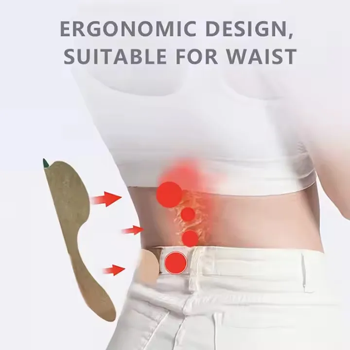 10-Piece Natural Wormwood Herbal Warm Patch for Lower Back Muscle Lumbar Spine Pain Multi-Purpose Hair Styling Tool