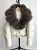 Beige marrone
