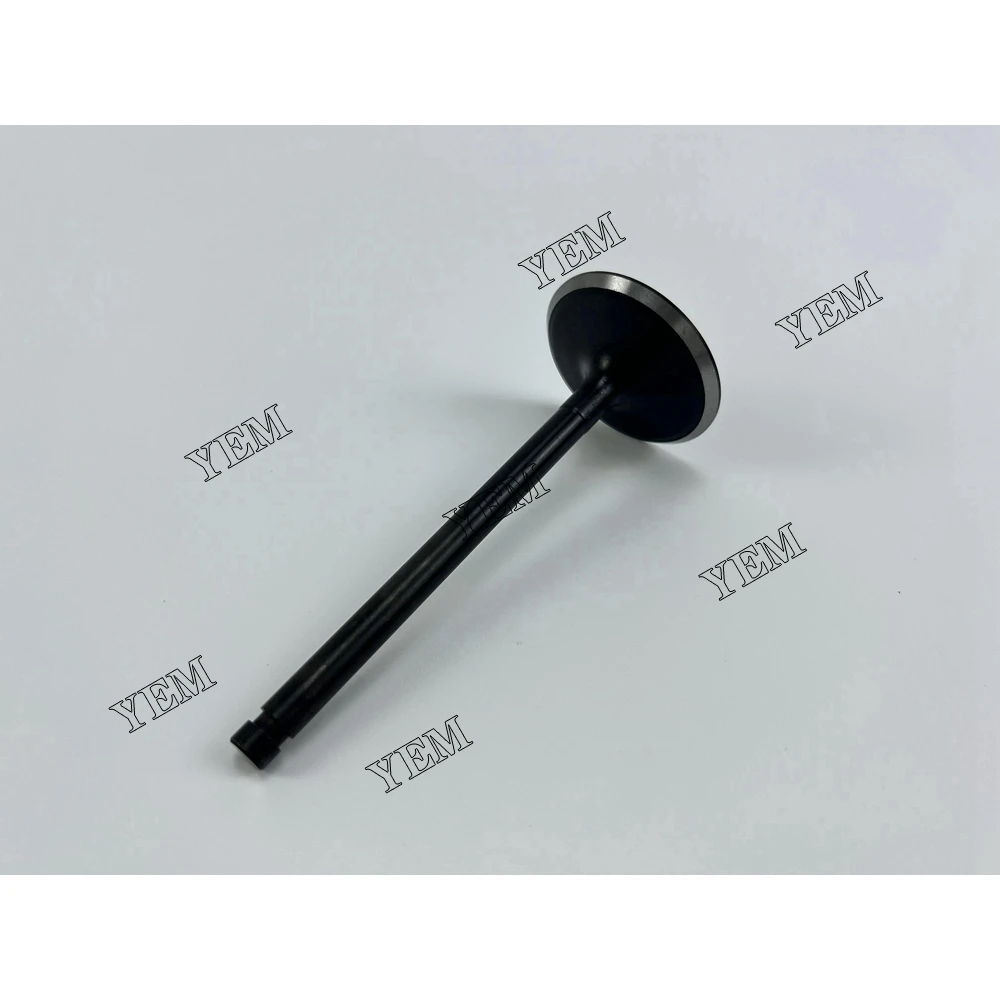 High Quality for Nissan TB42 Intake Valve Engine Spare Parts 4