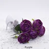 Pourpre