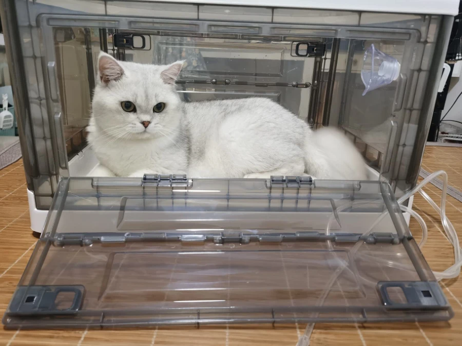 New Born Pet Puppy Incubator With Temperature And Humidity Digital