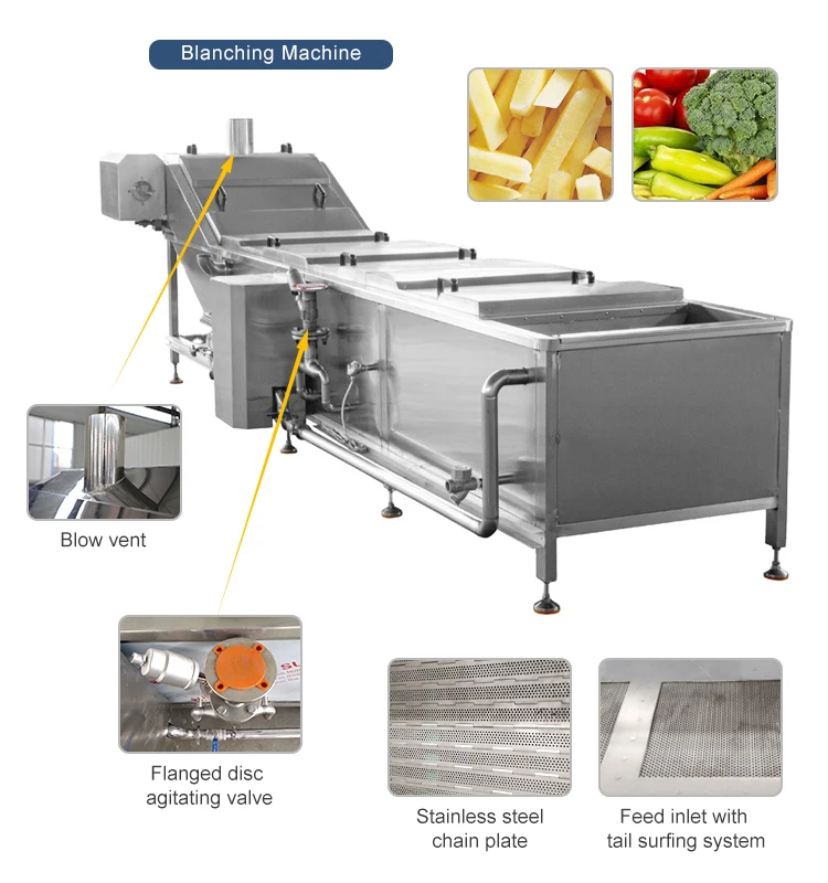 Fish Seafood Eggplant Pineapple Groundnut Noodle Shrimp Blanch Equipment Banana Chips Conveyor vegetable Blanching Machine details