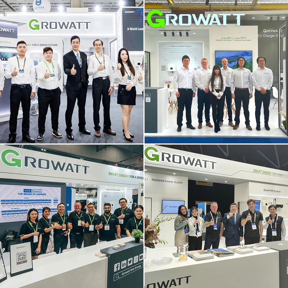 Growatt on Grid Mppt Solar Hybrid Inverter 50Kw 100Kw 125Kw 150Kw 3 Phase Grid Tied Hybrid Solar Power Inverter Growatt