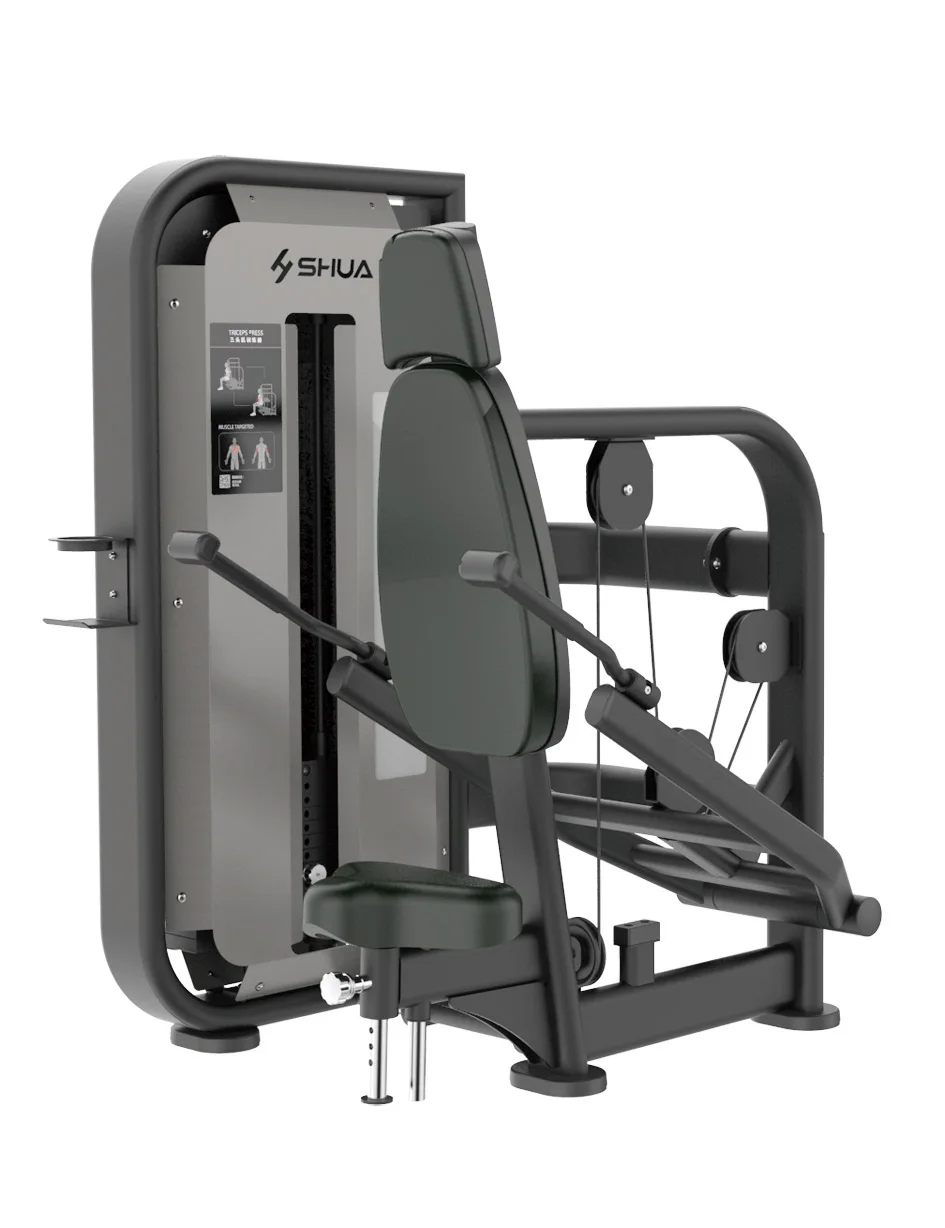 SHUA SH-G6808 Triceps Press Machine for Commercial Use - Effective