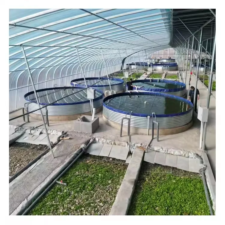 Aquaponics System Complete Growing Recirculating Aquaculture System With Fish Farming