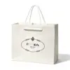Spectacular-dadan gift bag 231020