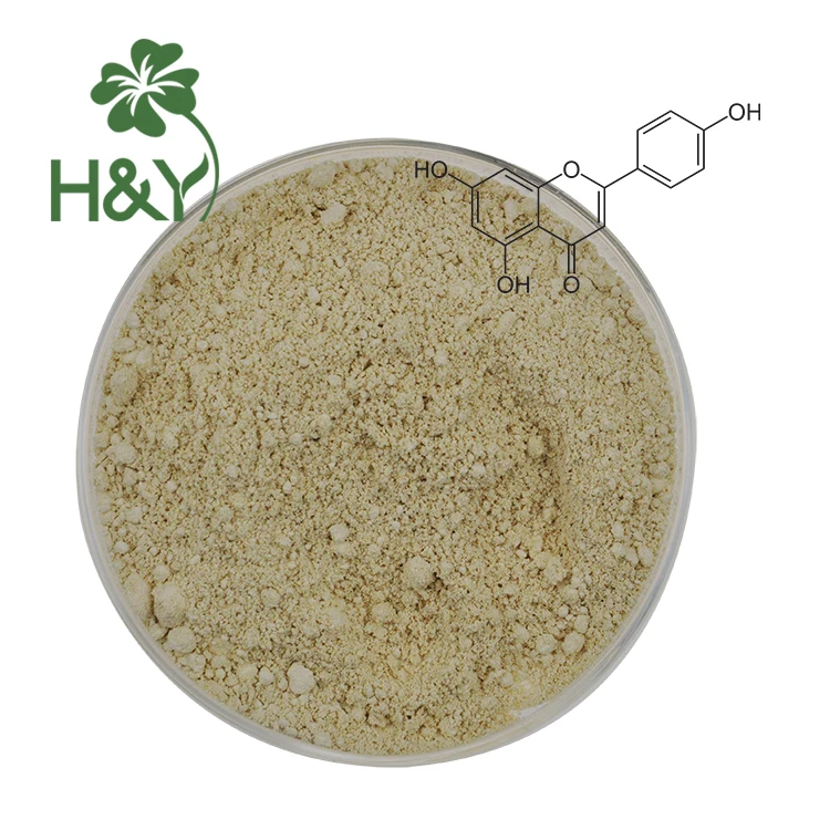Apigenin98% Capsules Apigenin Extract Powder Apigenin Supplement