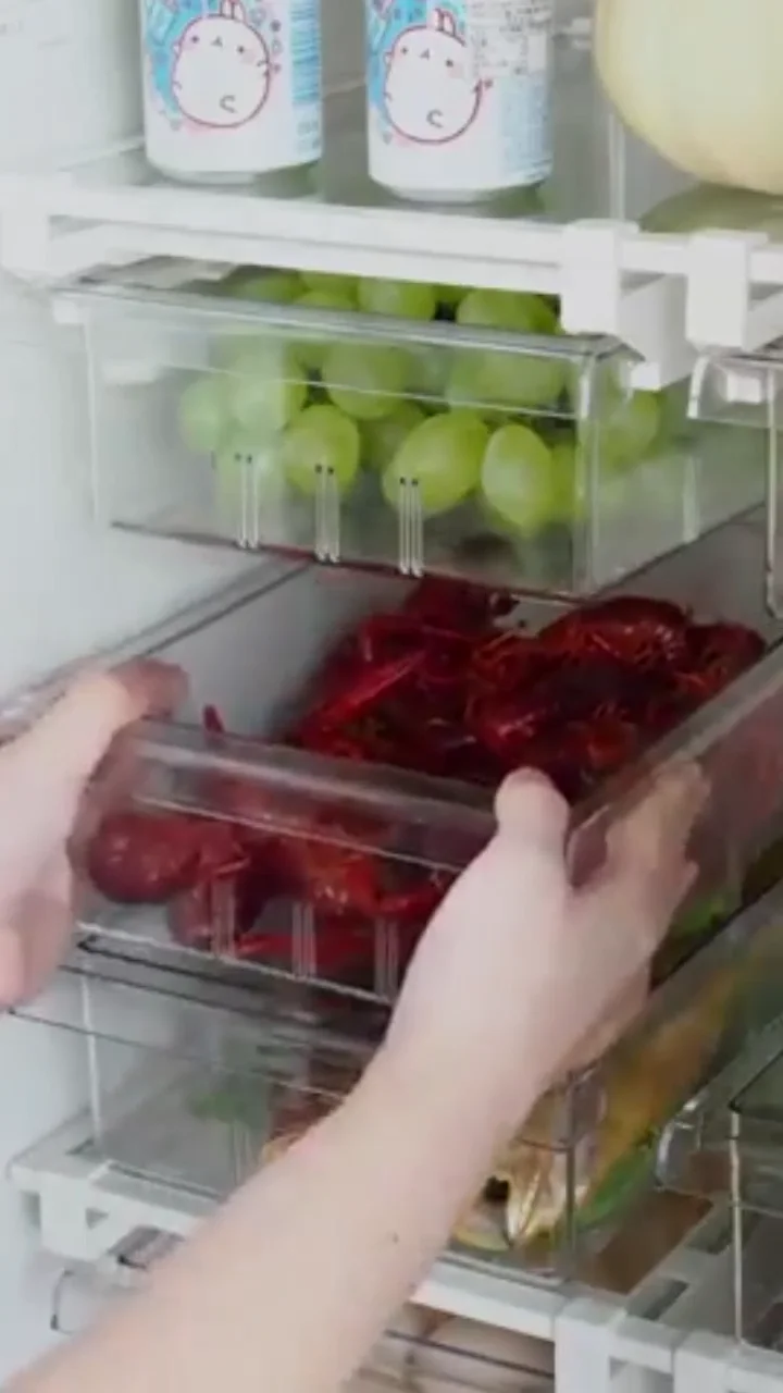 Kitchen Storage And Organization Parts Sidebyside Refrigerators Pull