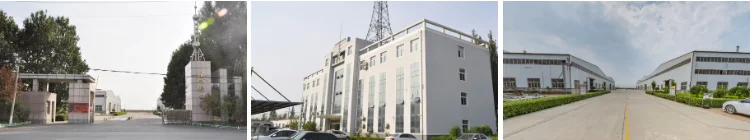 Company overview