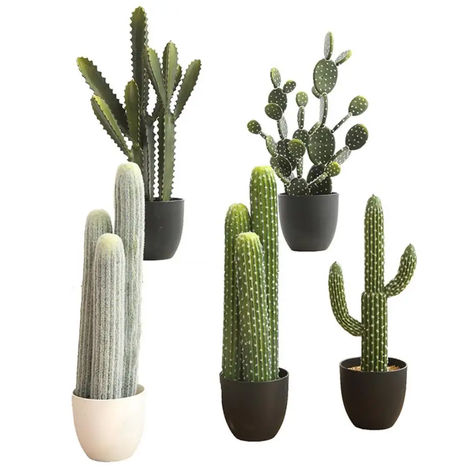 Multi Styles Artificial Succulent Plants Plastic Cactus for Decoration
