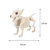 Perro