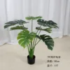 Monstera deliciosa gruesa 80cm