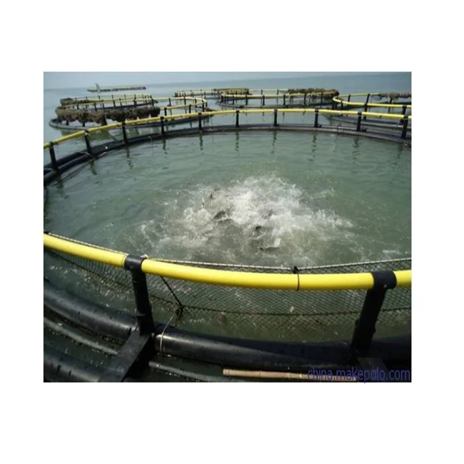 HDPE Square Floating cage Fish Fingerling Culture for Commercial