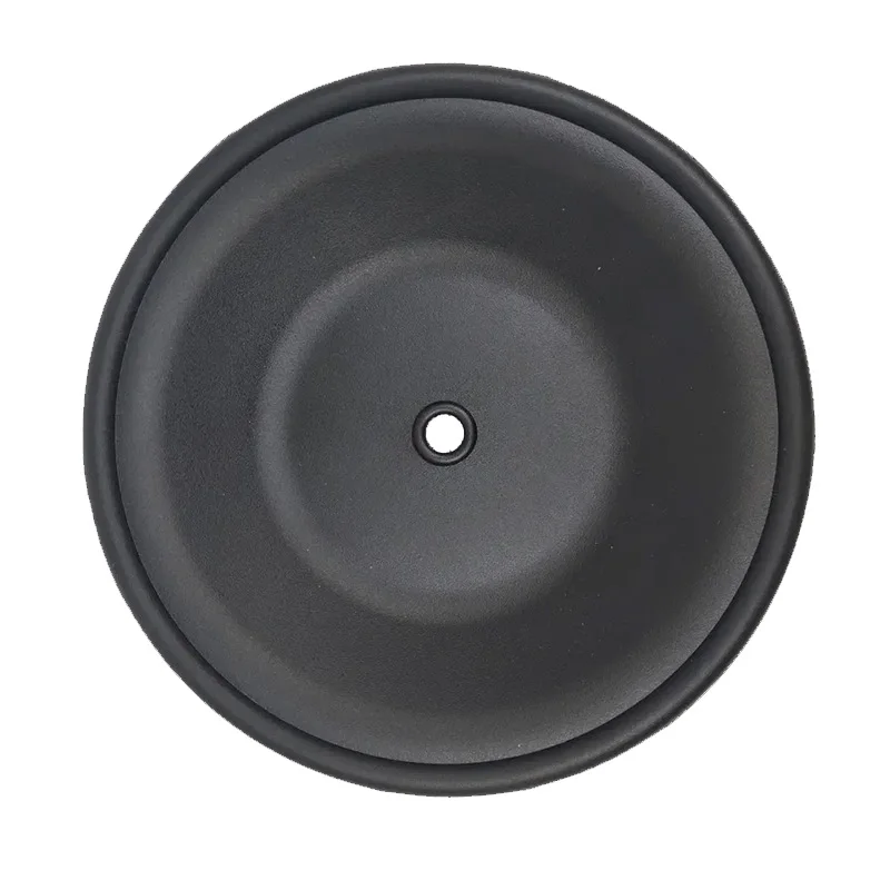 CF02-1010-53 Diaphragm