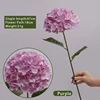 8/Noventa hortensias/morado