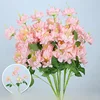 5 fiori di loto delle nevi/1 stelo