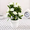 white 4