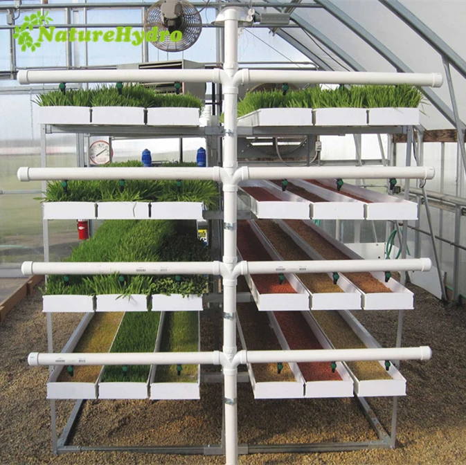 Pvc Hydroponics Tray for Hydroponic Animal Fodder