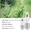 Rosemary (Morocco)