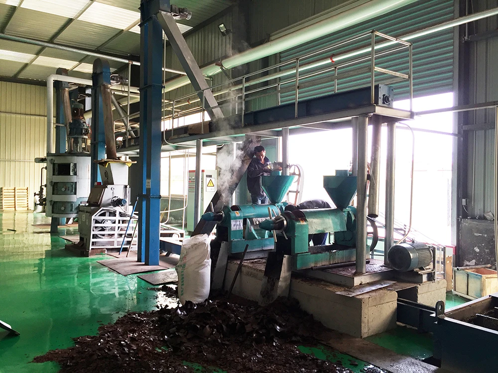 10tons/day RBD CPO Palm Oil Refining Machine - Reliable & Efficient