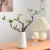 Caution: Ceramic vase with withered branches and green leaves