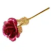 Fiore nudo rosso rosa