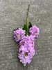 19 # - 3 head Lafite clove hydrangea - purplish red