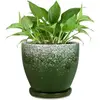 Blackish Green