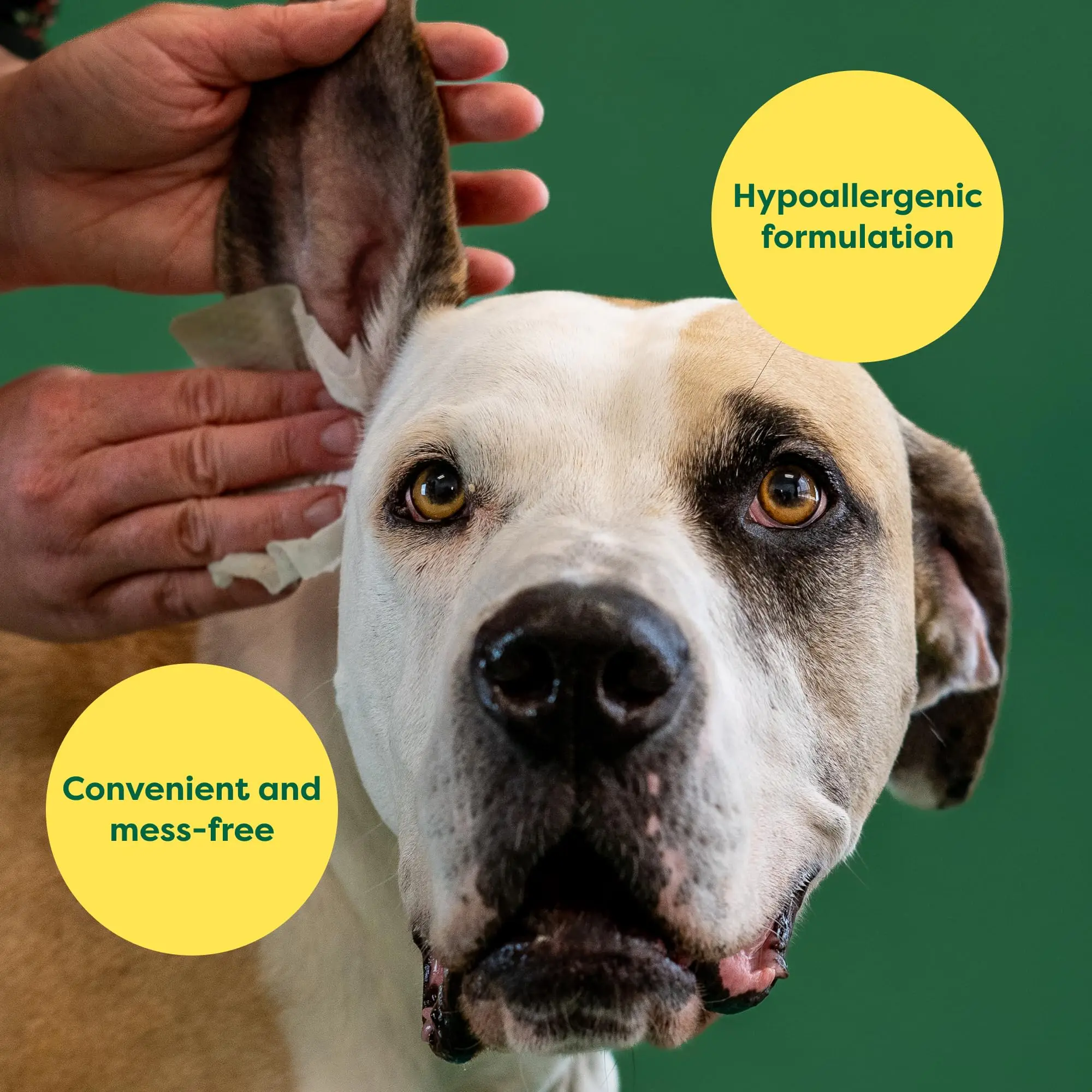 Plant Based Scent Customization Biodegradable Pet Wipes Cleaning Wipes for Dog