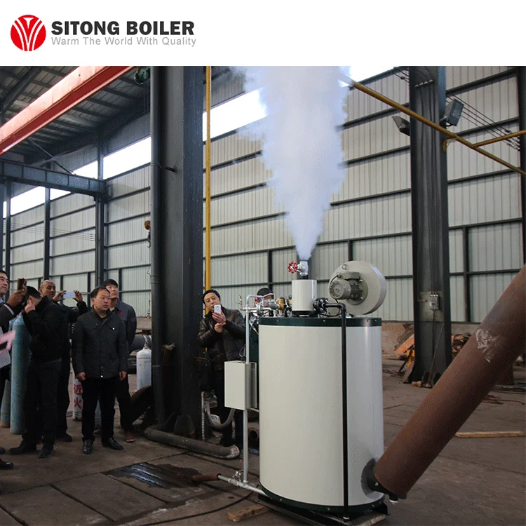 Safety Value Biogas Fired 2 Tons Boiler Price