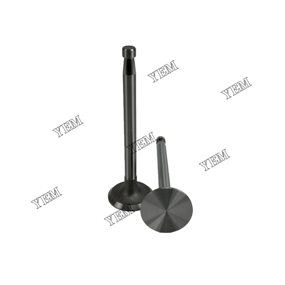 295AD Valve for SDEC Valve Engine Repair Kit