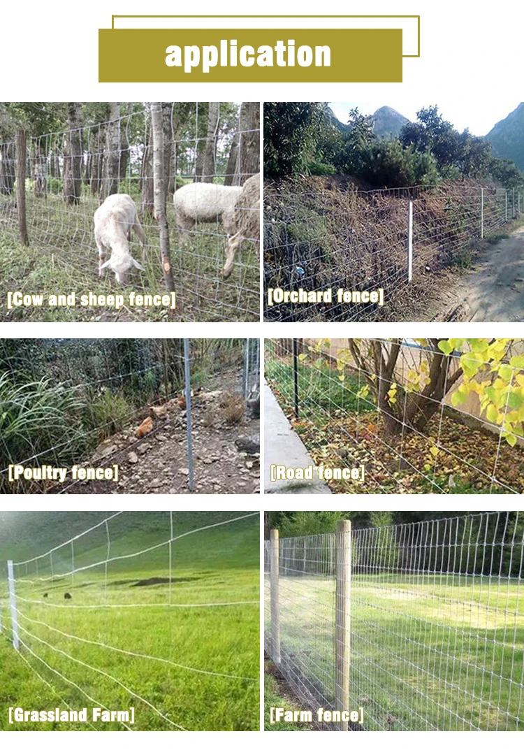 Wholesale Low Prices Cattle / Sheep / Field / Deer Farm Fence
