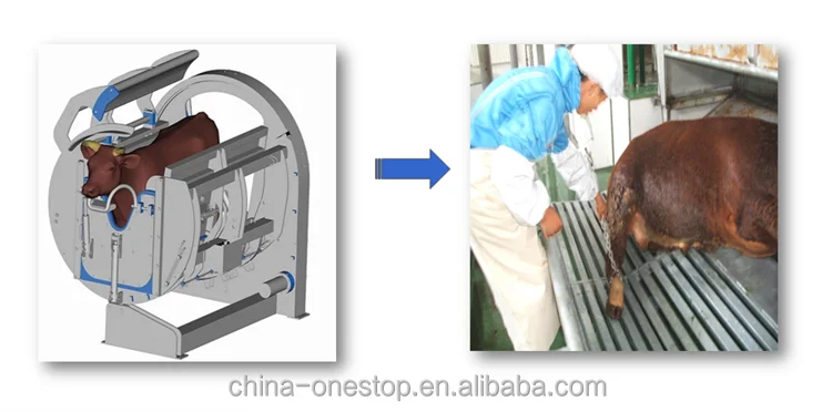 High-efficiency automatic slaughtering machine for halal cattle farms
